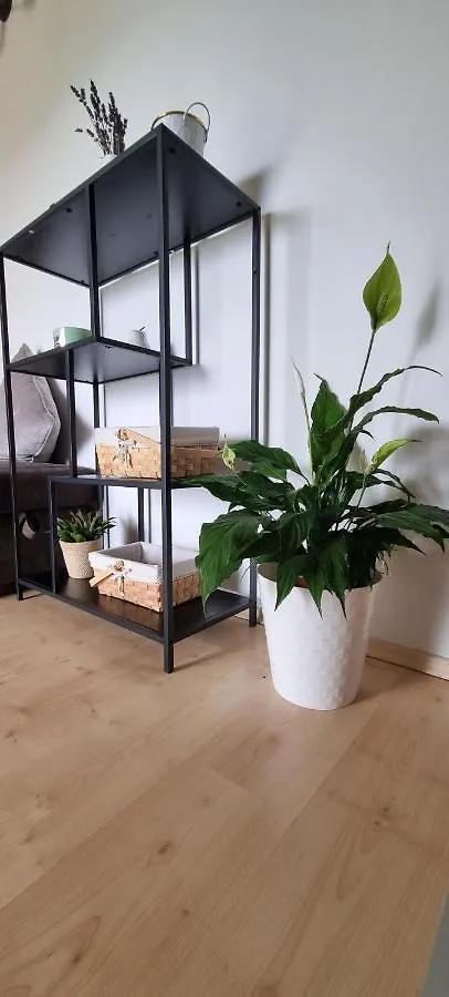 Apartman Sa Pogledom Na More U Linardicima